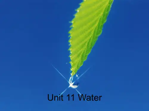 小学五年级英语上册 Unit 11 Water名师课件2 牛津上海版