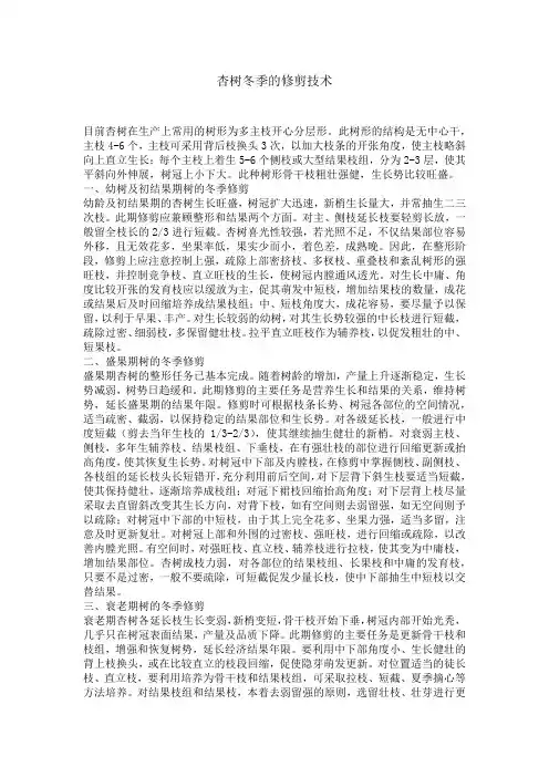 杏树冬季的修剪技术