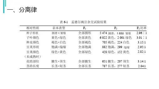 遗传与变异