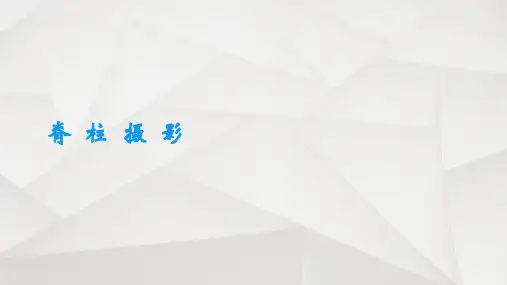 《脊柱》ppt课件