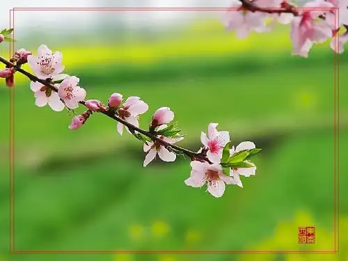 1朱自清《春》