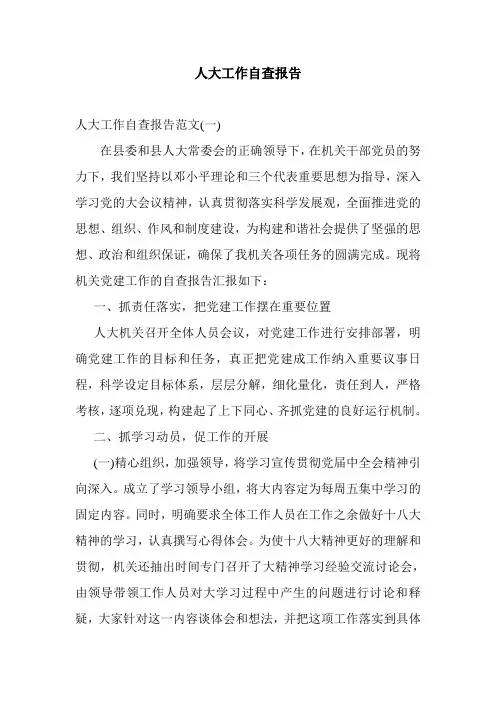 人大工作自查报告
