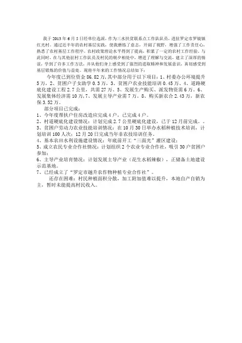 扶贫年终个人总结