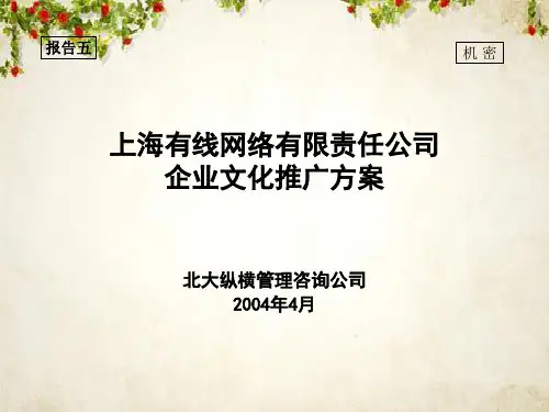 某网络有限责任公司企业文化推广方案(PPT 26页)