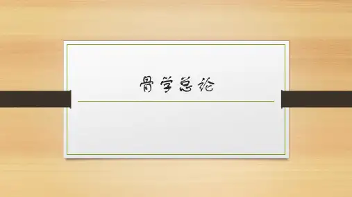 骨学总论