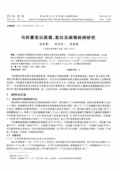 马铃薯茎尖脱毒、复壮及病毒检测研究