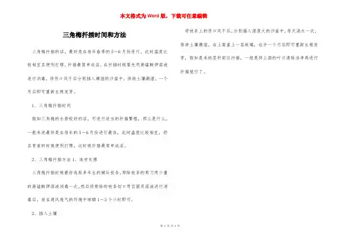三角梅扦插时间和方法