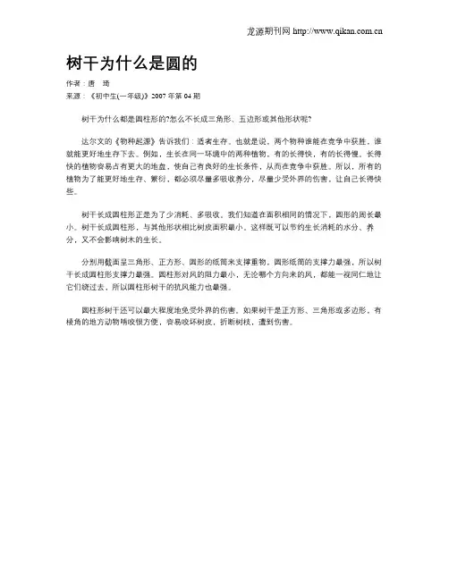 树干为什么是圆的