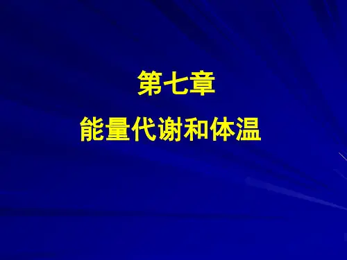 第七章能量代谢和体温