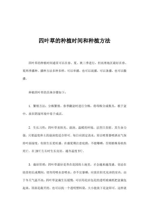 四叶草的种植时间和种植方法