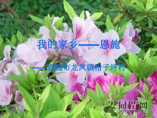 我的家乡——恩施