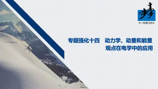 高考物理第一轮复习第十章 专题强化十四