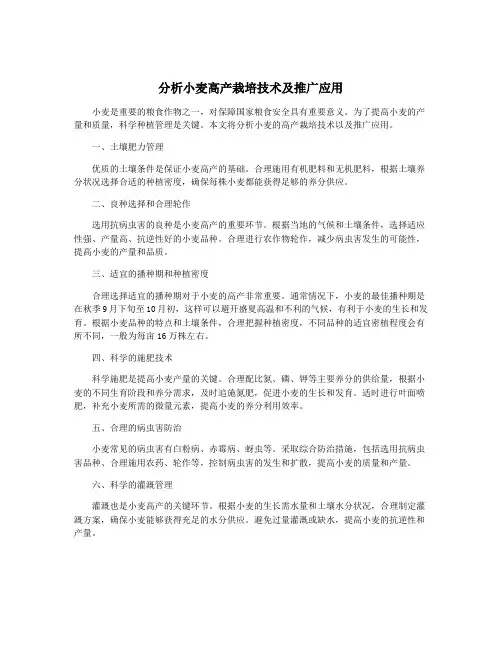 分析小麦高产栽培技术及推广应用