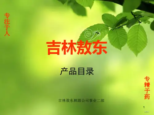 吉林敖东产品目录ppt课件