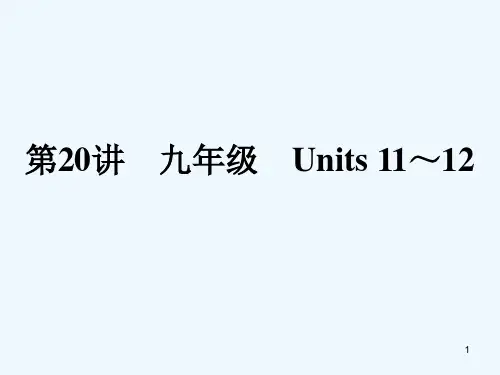 人教版新目标九年级英语Unit11-Unit12复习 PPT