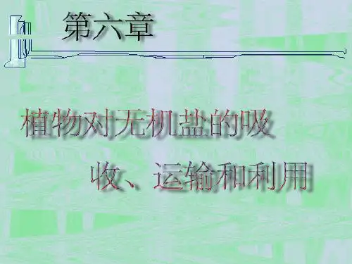 植物对无机盐的吸收 ppt