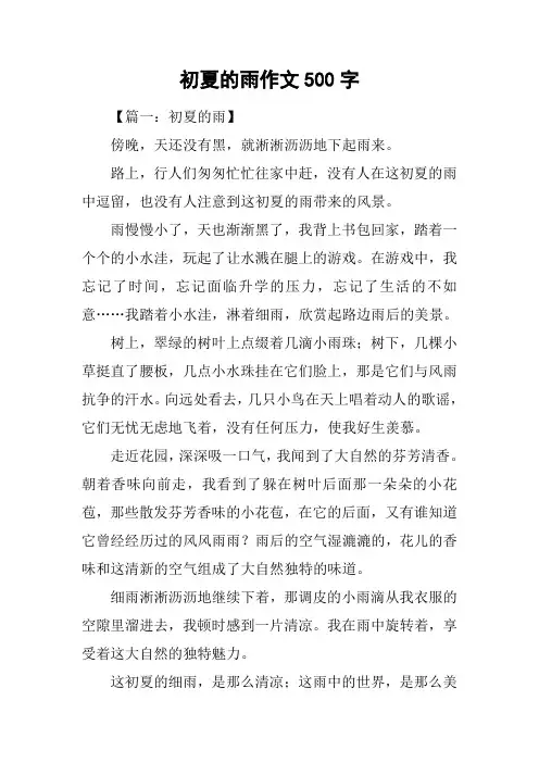 初夏的雨作文500字