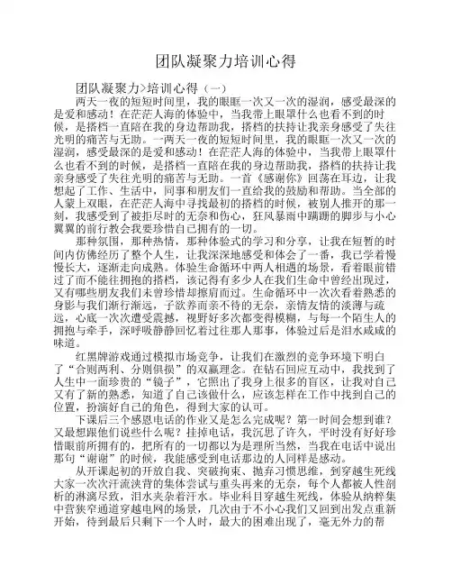 团队凝聚力培训心得 2
