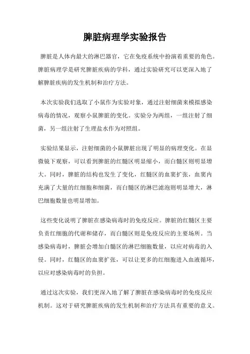 脾脏病理学实验报告