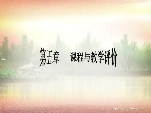 《课程与教学评价》PPT课件