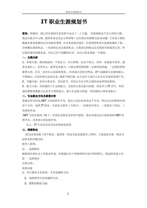 IT职业生涯规划书模板