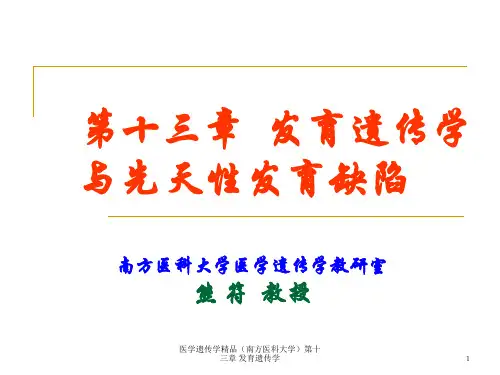 医学遗传学精品(南方医科大学)第十三章 发育遗传学课件