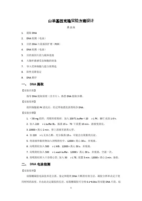 山羊基因克隆实验方案设计