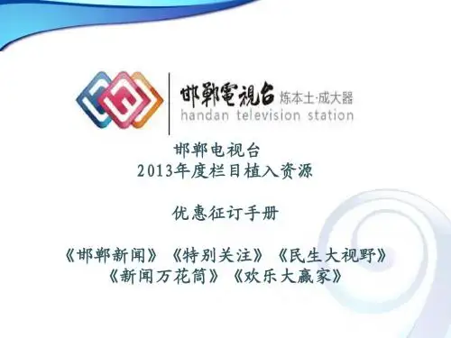 2013年电视台栏目冠名1208