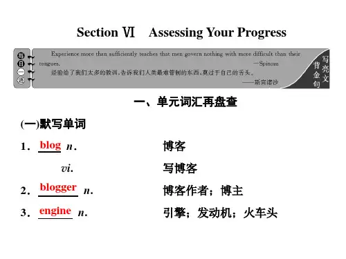 (2020新教材)新人教版高中英语必修第二册unit3 Section Ⅵ Assessing Your Progress