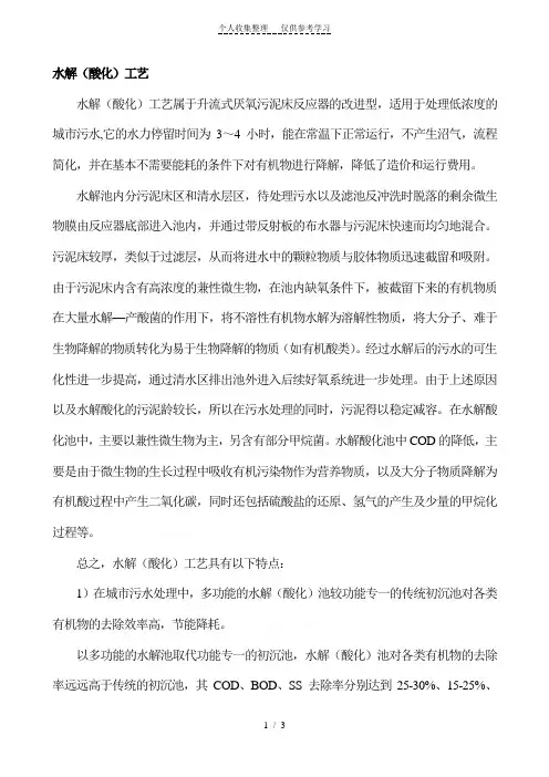 水解(酸化)工艺