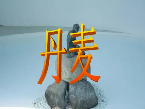 丹麦介绍