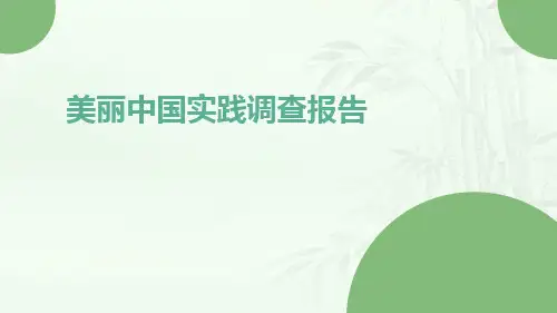 美丽中国实践调查报告