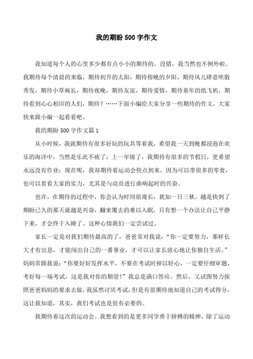 我的期盼500字作文