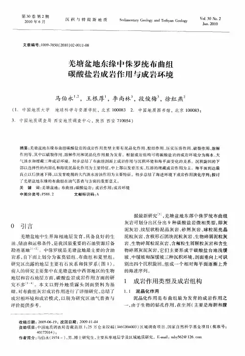 羌塘盆地东缘中侏罗统布曲组碳酸盐岩成岩作用与成岩环境