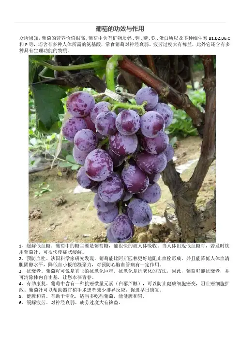 葡萄的功效与作用