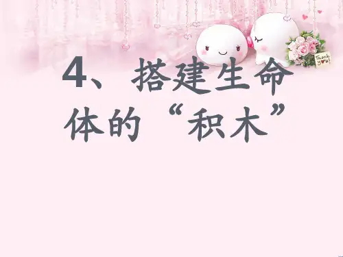 最新六年级科学上册搭建生命体的积木3苏教版优选教学课件