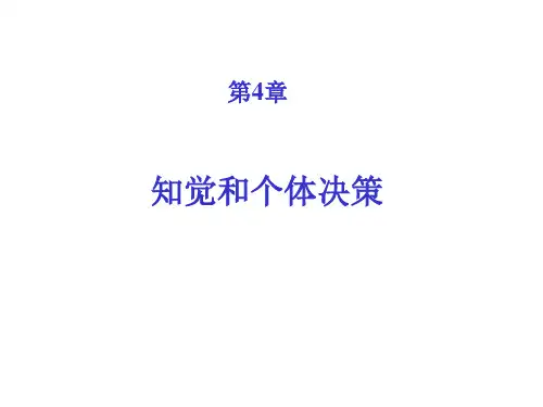 知觉与个体决策组织行为学分析解析