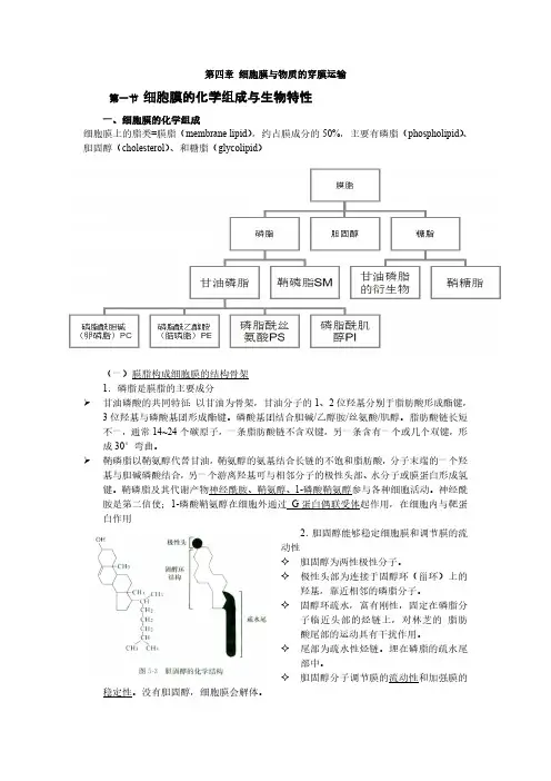细胞生物学之笔记--第4章-细胞膜与物质的穿膜运输