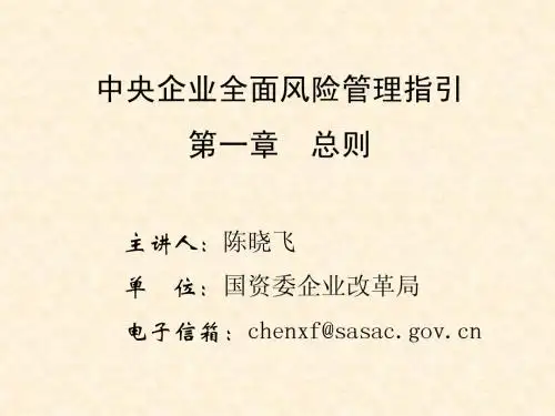 央企全面风险管理培训——02 第一章 总则(陈晓飞)