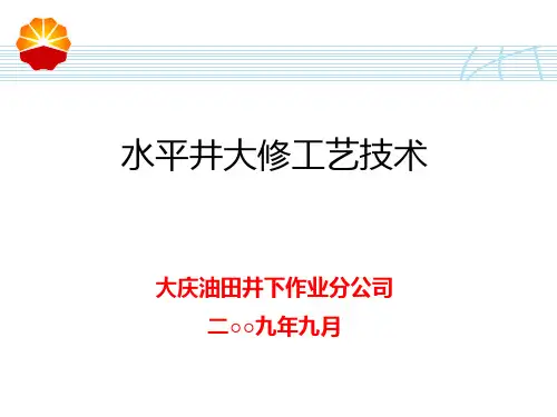 13大庆-大庆油田水平井大修工艺技术