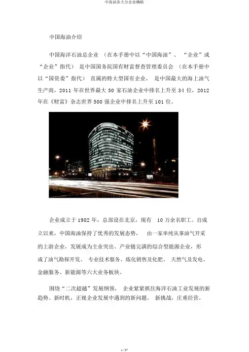 中海油各大分公司概况