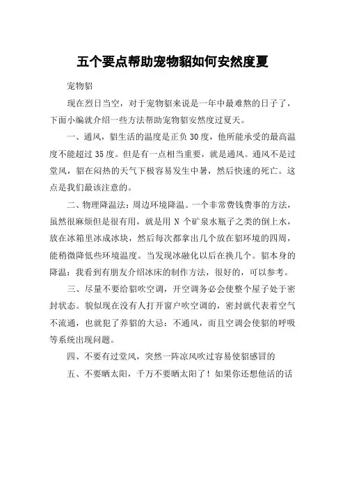 五个要点帮助宠物貂如何安然度夏