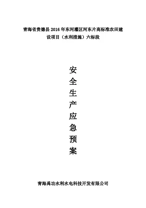 安全生产应急预案