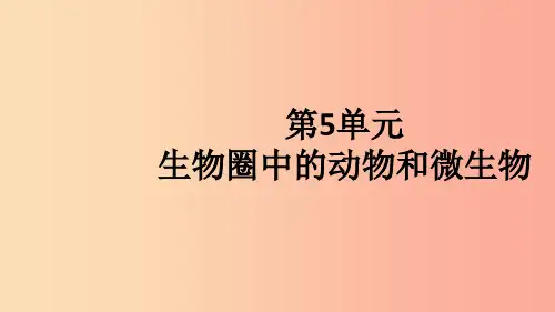 八年级生物上册第5单元第15章第2节动物运动的形成第1课时骨和关节习题课件(新版)北师大版
