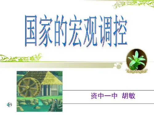 国家的宏观调控23645