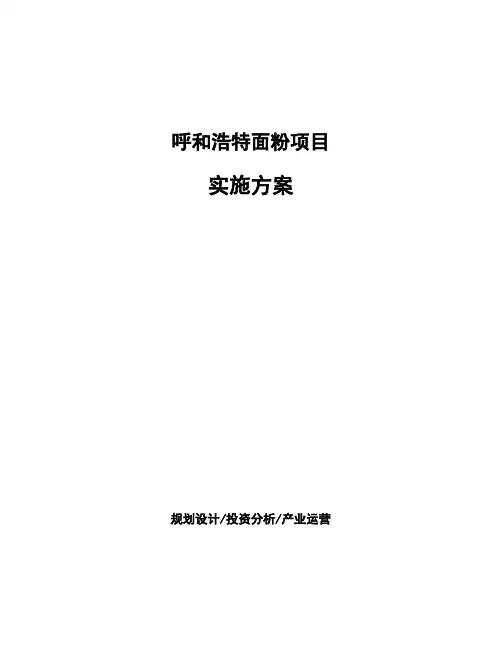 呼和浩特面粉项目实施方案