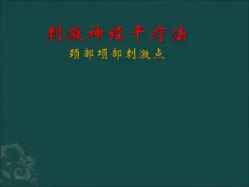 神经干刺激疗法