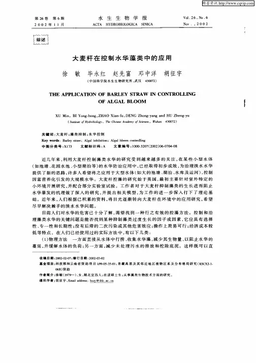 大麦杆在控制水华藻类中的应用