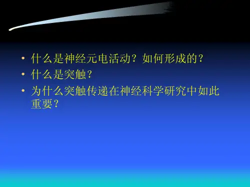 神经生物学 突触传递和调控