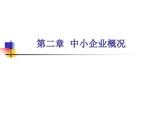 中小企业管理：中小企业概况.pptx